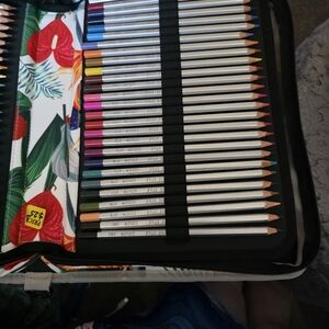 Vibrant Artist Colored Pencil Set with Floral Case